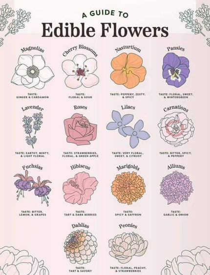 Elevate Your Charcuterie Boards with the Beauty of Edible Flowers